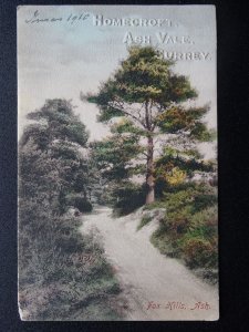 Surrey / Hampshire FOX HILLS, ASH Homecroft, Ash Vale c1910 Postcard by Frith