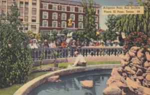 Texas El Paso The Alligator Pool San Jacinto Plaza