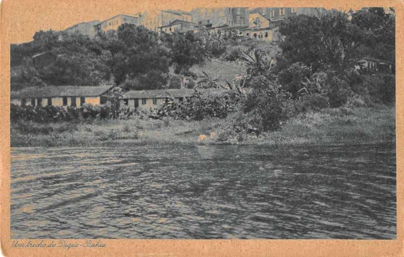 Bahia Brazil Trecho do Dique Scenic View Antique Postcard J69332