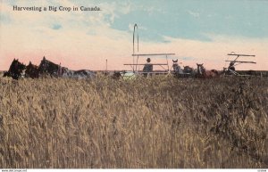 Harvesting a Big Crop, Canada, 1900-10s