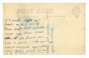 Horse & Buggy & Young Man  RPPC