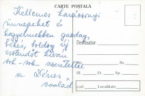 Postcard Sfanta Familie