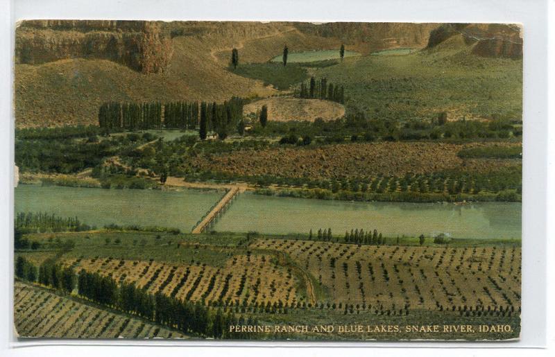 Perrine Ranch Blue Lakes Snake River Idaho 1913 postcard