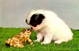 Frog & Dog Says You