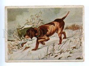 168980 Winter HUNT Dog POINTER vintage Russian Colorful PC