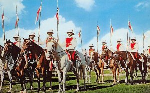 Mounted Police Barbados West Indies Unused 