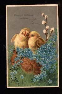 3050303 EASTER Chickens in Nest Vintage Embossed RPPC Libava