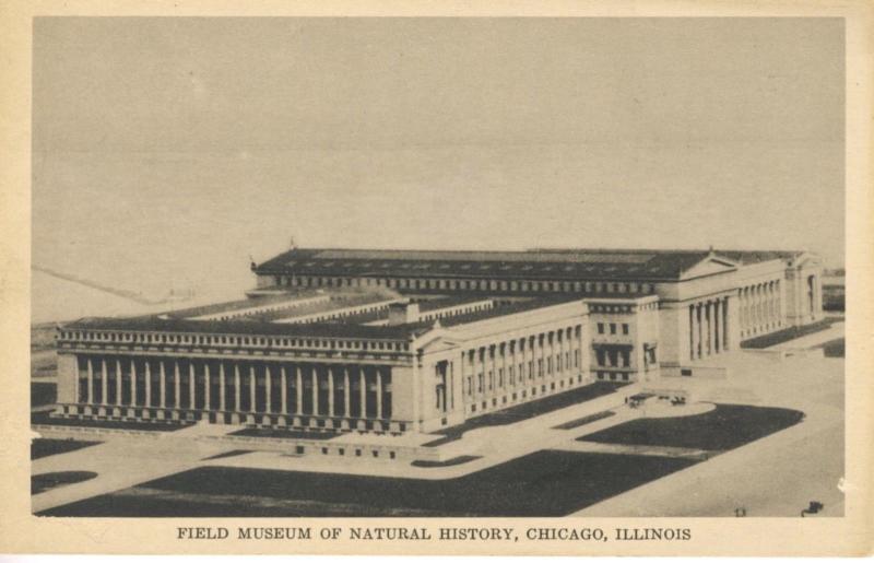 Field Museum Of Natural History  ~ Chicago Illinois IL Postcard