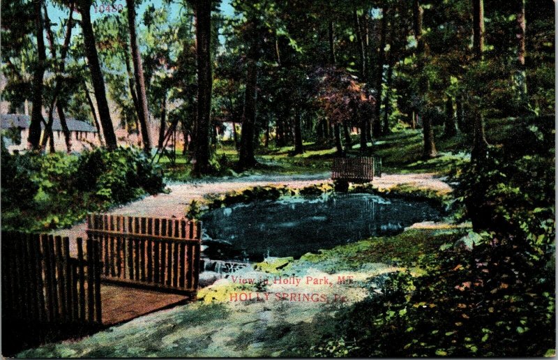 Mt. Holly Springs PA - VINTAGE POSTCARD - PARK - UNPOSTED