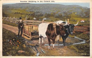 Cow Post Card Summer Sleighing Catskill Mountains, New York, USA 1924