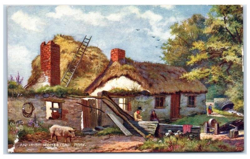 Early 1900s An Irish Homestead, Bray, County Wicklow, Ireland TUCK Postcard