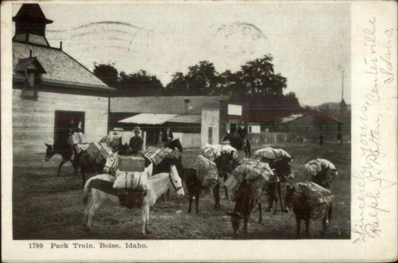 Boise ID Pack Trin c1905 Postcard