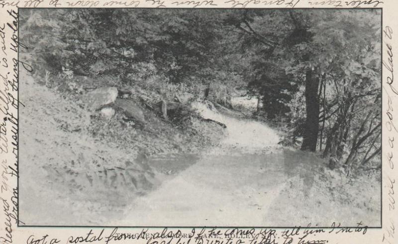 Holley, Orleans County NY, New York - Glen at Lovers Lane - pm 1907 - UDB