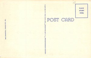 Bear, Swope Park Zoo Kansas City, Missouri, USA Bear Postcard