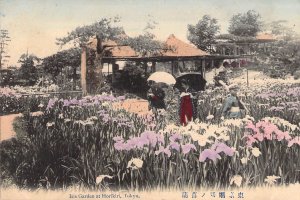 c.'06 Early Japanese Art ,Iris Garden at Horikiri, Tokyo, Old Postcard