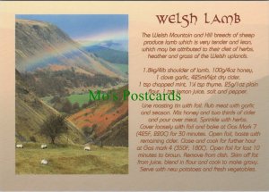 Food & Drink Postcard - Cooking - Recipes - Welsh Lamb Dish Recipe RR13949