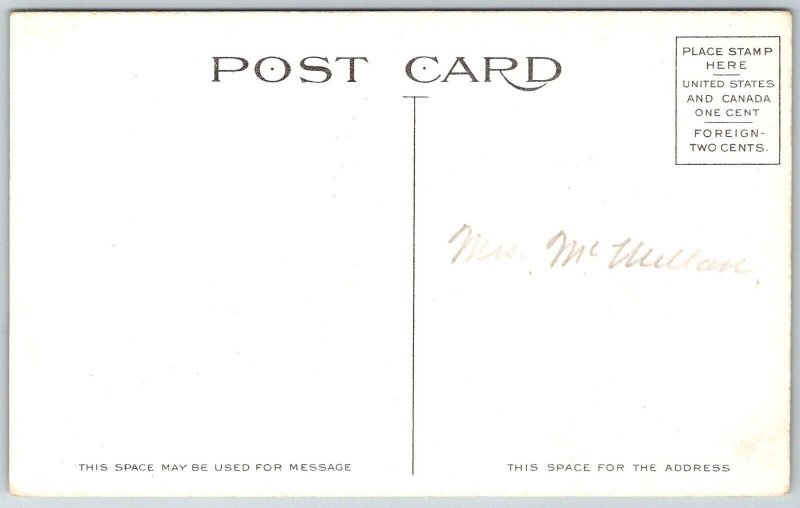 Albany New York c1910 Postcard Thurlow Terrace