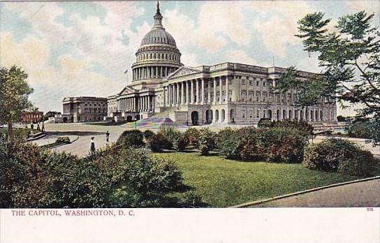 The Capitol Washington D C
