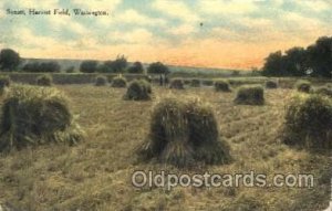 Harvest Field, Washington Farming, Farm, Farmer  1911 