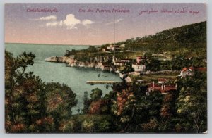 Postcard Istanbul Turkey Princes Islands Coastline 1910s DB Scenic View