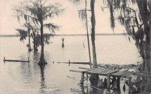 View of the Lake, Lake Charles, Louisiana, Very Early Postcard, Used in 1907