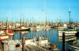 Washington Westport Fishing Fleet