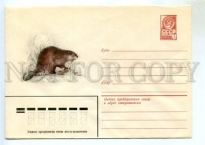 477457 USSR 1981 year Isakov Beaver River postal COVER