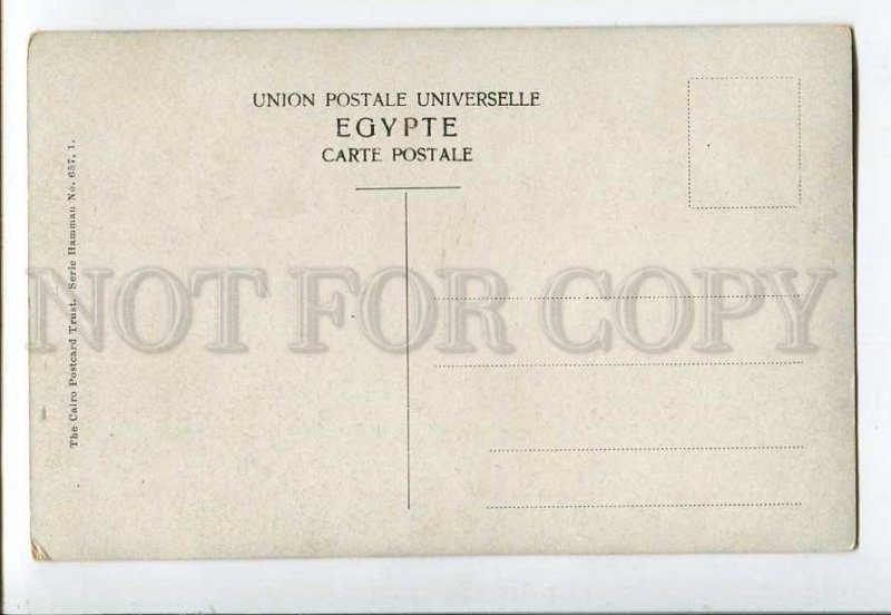 3079518 NUDE Slave BELLY DANCER Harem SNAKE by PERLBERG Vinage