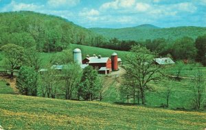 Postcard Spring Hill Farm New Preston Connecticut