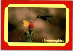 Postcard - Hummingbird