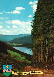 Vintage Postcard Titisee Hochschwarzwald Blick Zum Feldberg Forest Germany