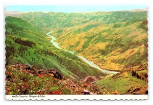 Hells Canyon Oregon-Idaho Continental Aerial View Postcard