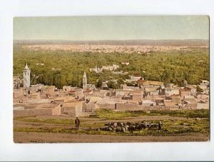 287218 SYRIA DAMAS DAMASCUS view Vintage postcard