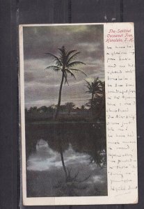 HAWAII, HONOLULU, THE SENTINEL, COCOANUT TREE, 1908 ppc., used to Australia.
