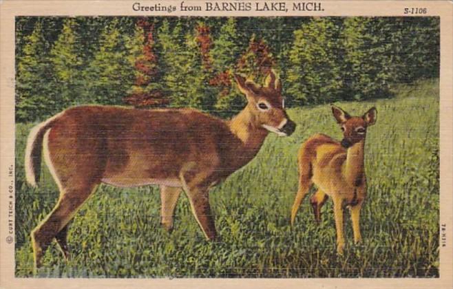 Michigan Greetings From Barnes Lake 1968 Curteich