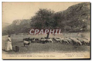 Old Postcard Chain La Sainte Baume and the Plateau Plan Aups Female Sheep