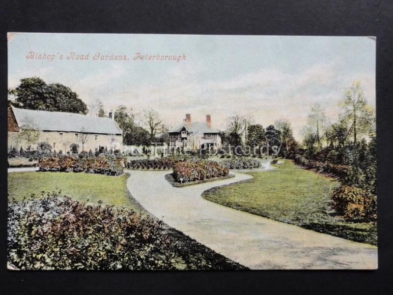 Cambridgeshire: Peterborough, Bishop's Road Gardens - Old Postcard