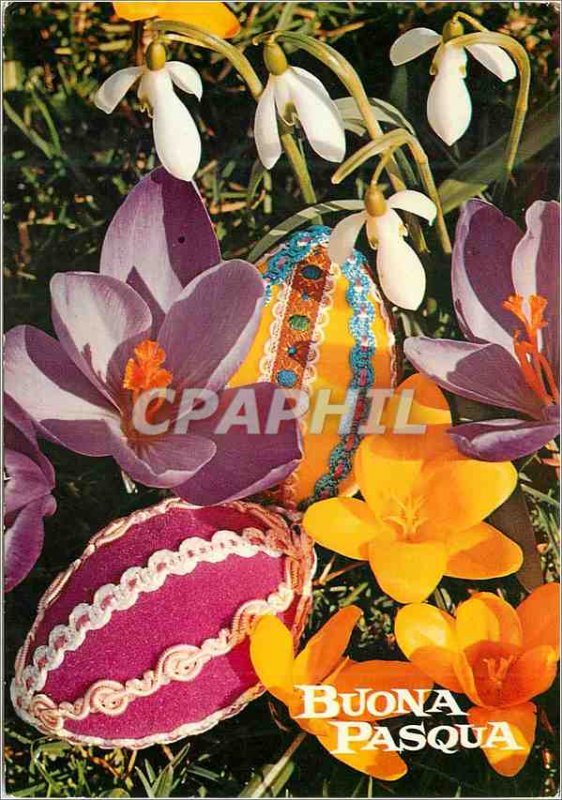 Postcard Modern Buona pasqua