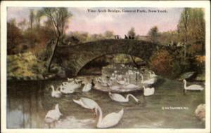 New York City Central Park Swans c1910 Postcard