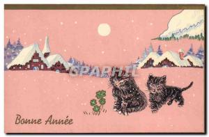 Old Postcard Cat Kitten Cats