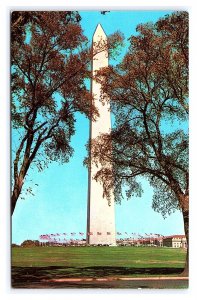 The Washington Monument Postcard Washington D. C.