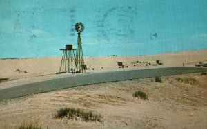 Vintage Postcard Picnic Area Sandhills State Park Spacious Setting Monahans TX