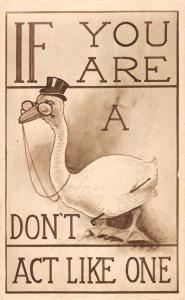 Dressed Goose Top Hat Glasses Humor Antique Postcard K86760