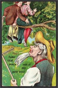 Take That Peach Out of My Pear Tree Farmer Risque Comic Embossed Postcard 1908
