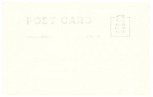 RPPC Postcard Wind Bent Juniper Palo Duro Canyon Texas