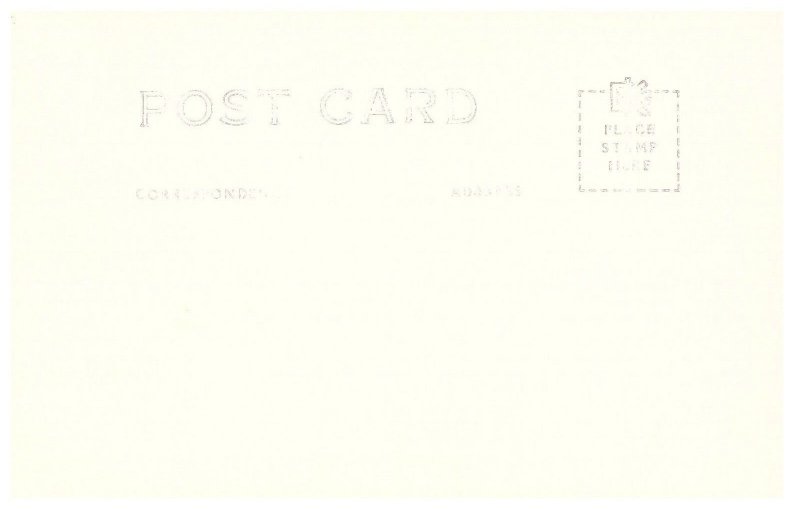 RPPC Postcard Wind Bent Juniper Palo Duro Canyon Texas