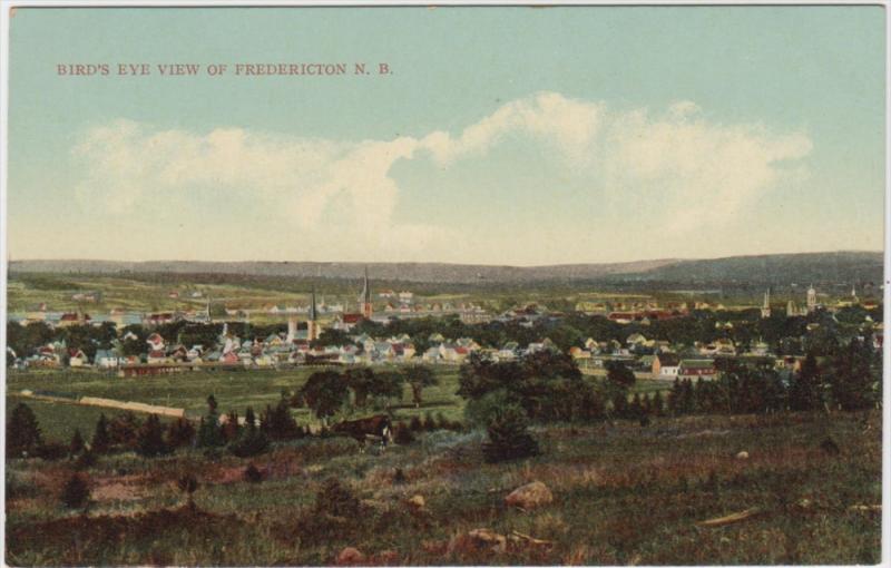 Aerial view of Fredericton N.B.