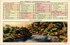 Busy Persons Correspondence Card Checklist Dual View River Linen Postcard VTG 