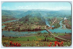 c1950 Kooskia Idaho Confluence Of South Fork Of Clear Water Fork River Postcard