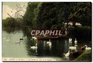 Old Postcard Lyon Park The Banks Of Lake And The Swans Swans